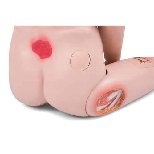 3B Scientific Hoivanukke Patient Care Manikin Pro - Image 5
