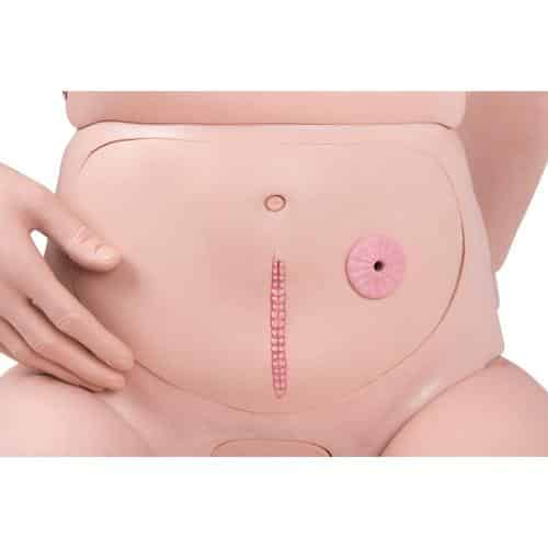3B Scientific Hoivanukke Patient Care Manikin Pro - Image 4