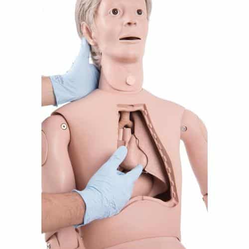 3B Scientific Hoivanukke Patient Care Manikin Pro - Image 3